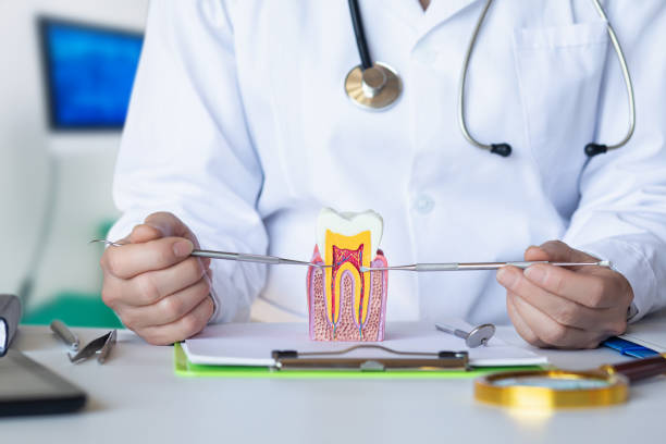 Best Knocked-Out Tooth (Avulsed Tooth) Treatment in Three Lakes, FL